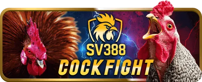 Tổng quan về真人娱乐 39bet19